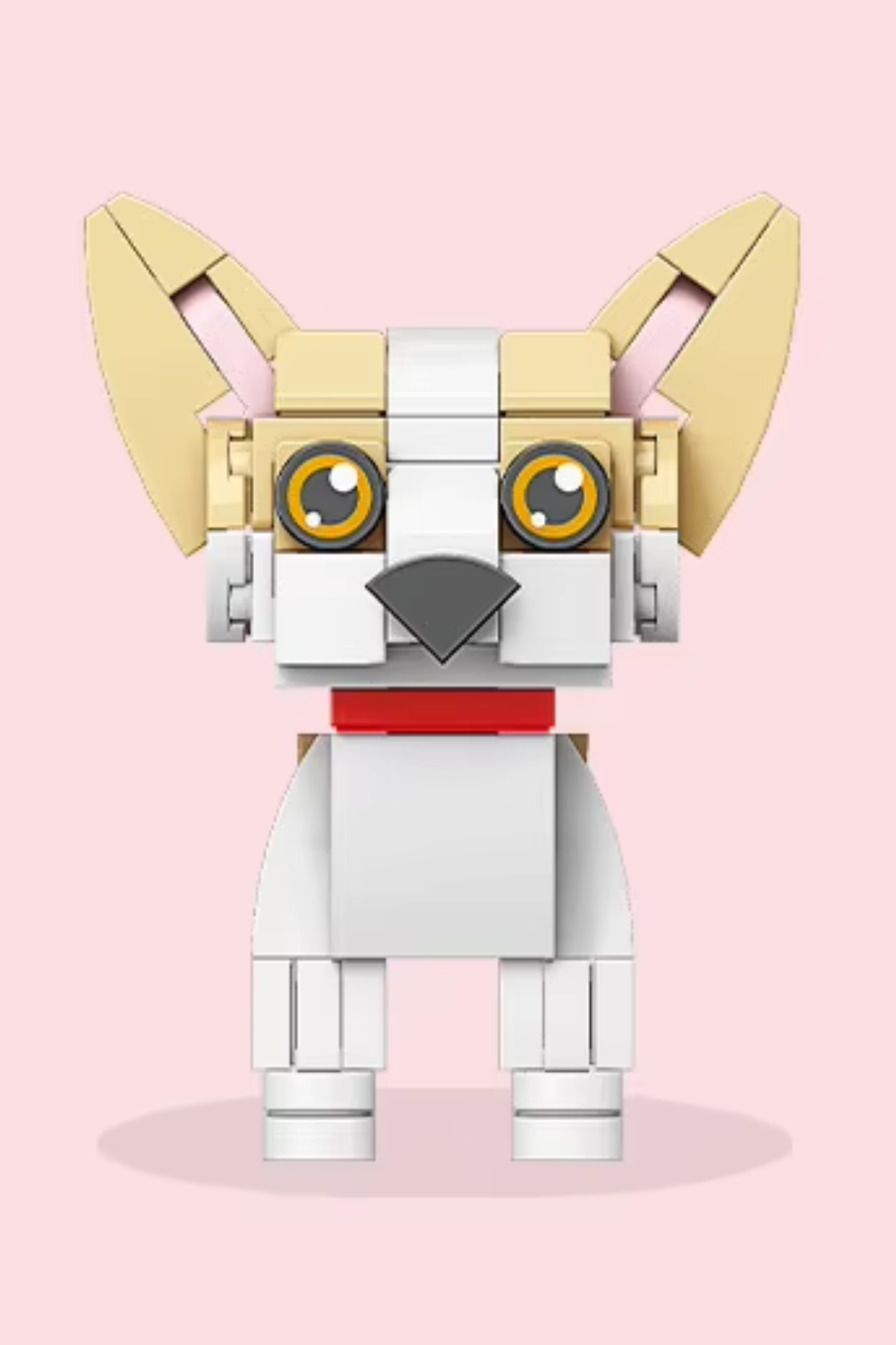 Chihuahua