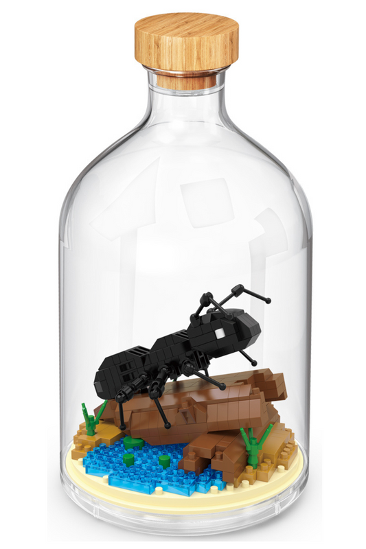 Ameise in der Flasche