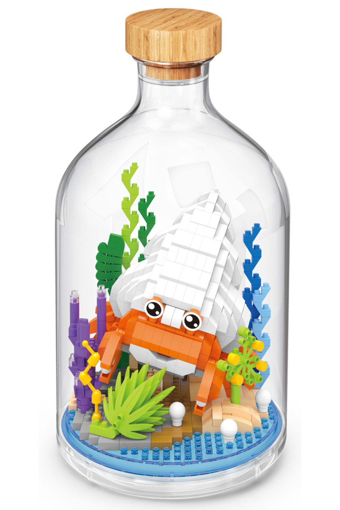 Einsiedlerkrebs in der Flasche