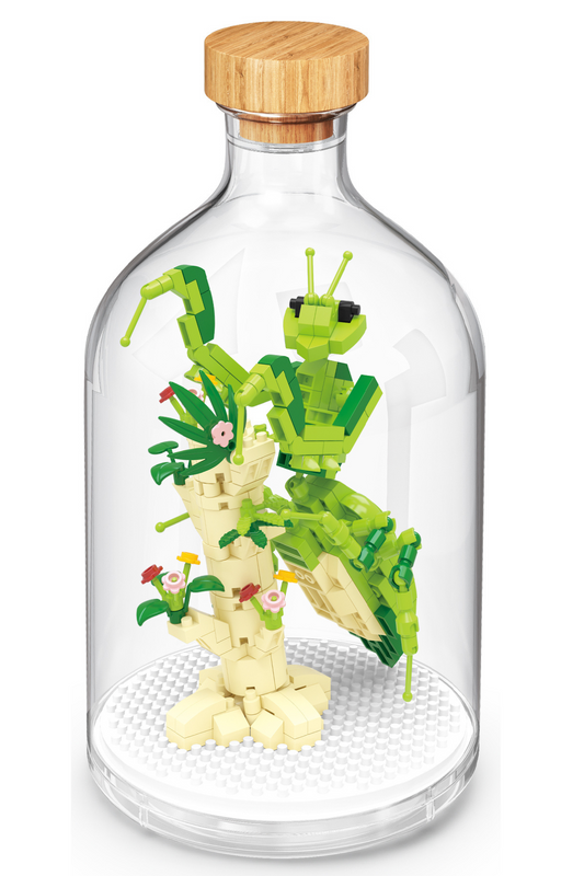 Gottesanbeterin in der Flasche