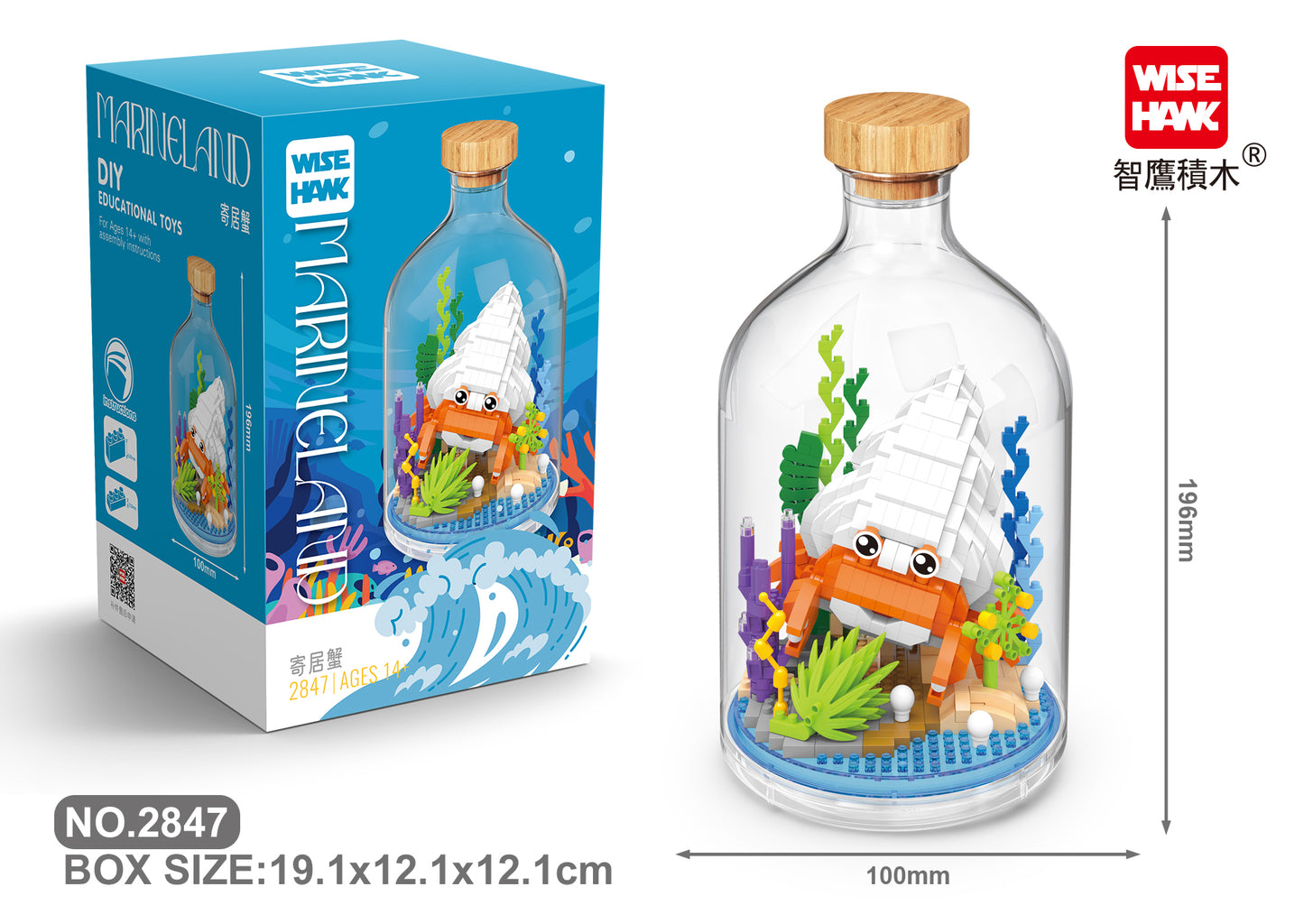 Einsiedlerkrebs in der Flasche