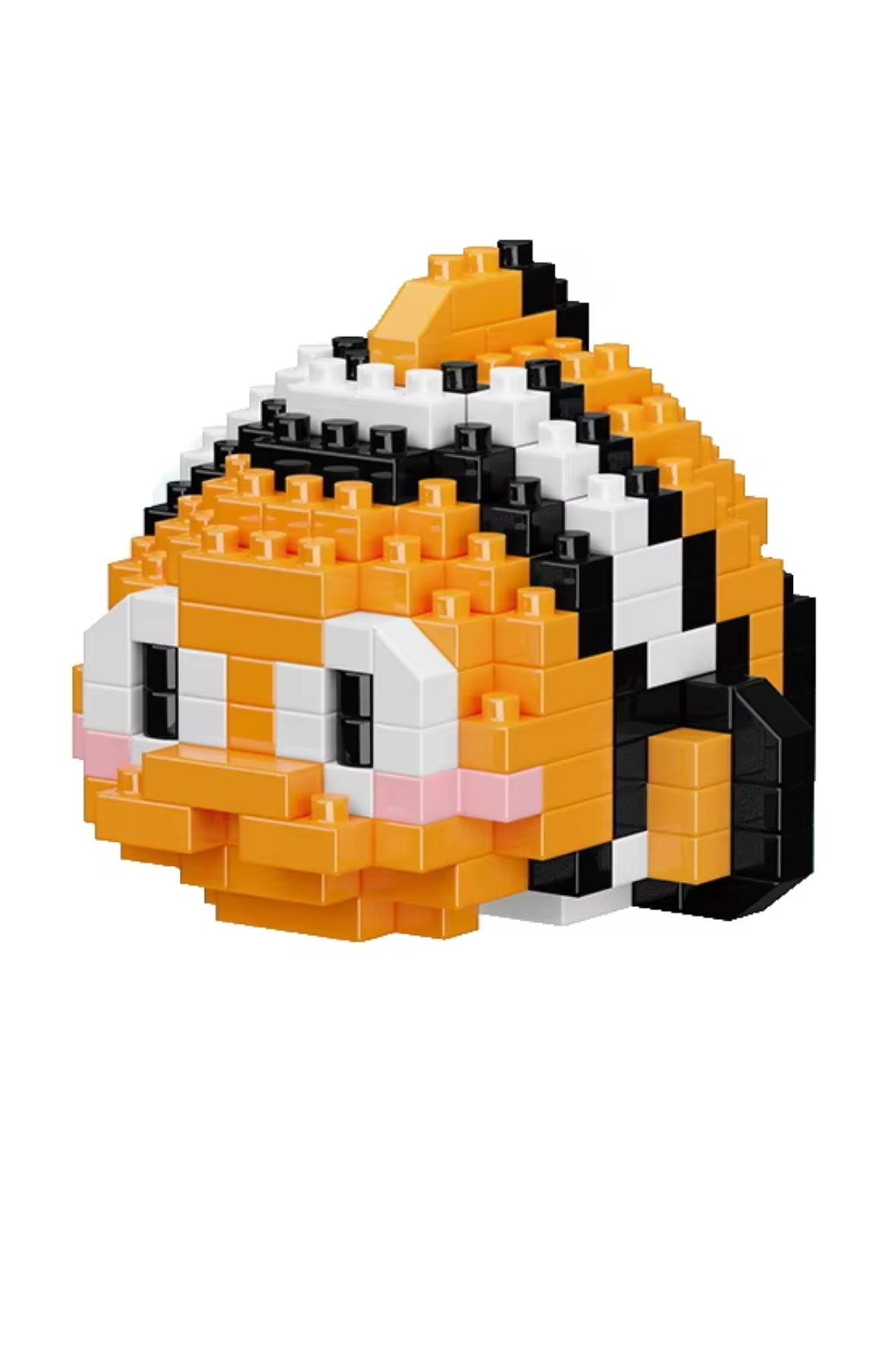 Clownfisch